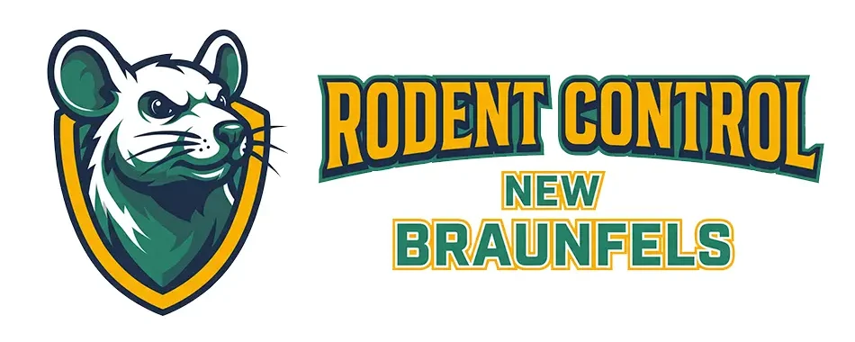 Rodent Control New Braunfels